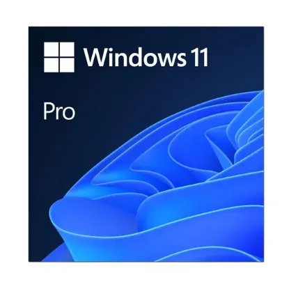 MS ESD Windows Professional 11