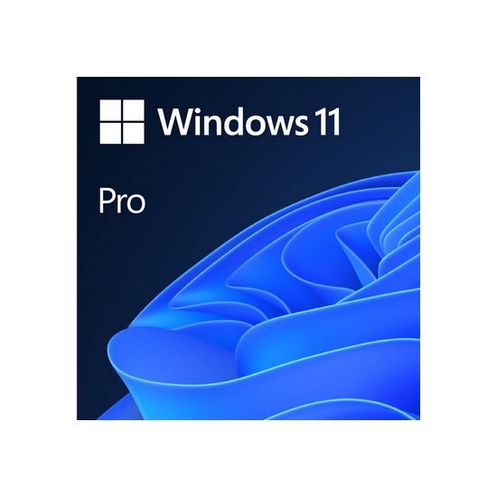 MS ESD Windows Professional