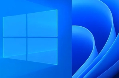 Obrázek pro kategorii MS WINDOWS