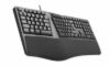 Obrázek C- TECH Klávesnice KB- 113E USB, ERGO, černá, CZ/ SK