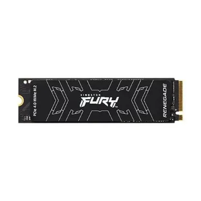 Kingston SSD Fury Renegade