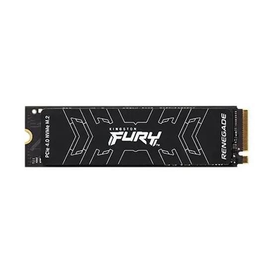 Kingston SSD Fury Renegade