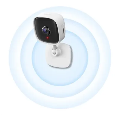 TP-Link Tapo C110