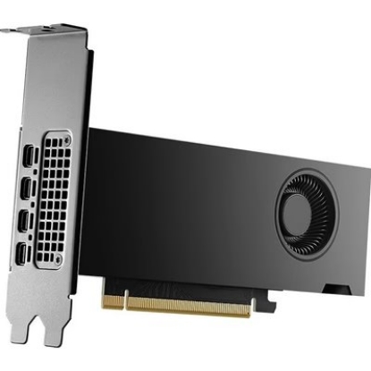Obrázek PNY NVIDIA RTX 2000 Ada Generation 16GB LowProfile