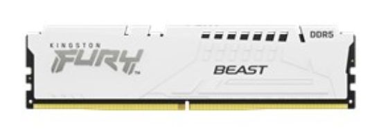 Obrázek KINGSTON DIMM DDR5 32GB 5600MT/s CL36 FURY Beast Bílá EXPO