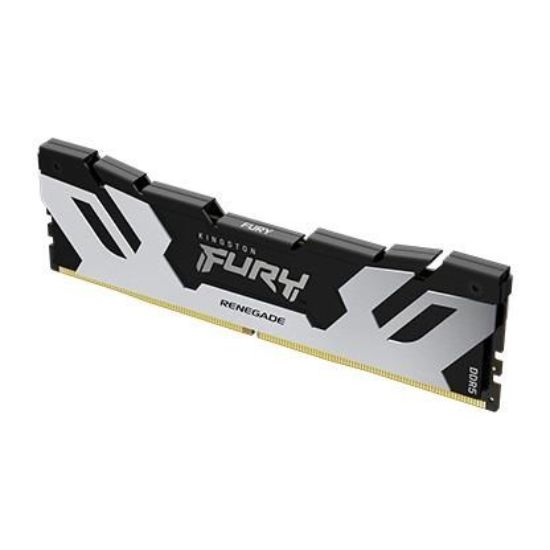 Obrázek KINGSTON DIMM DDR5 24GB 7200MT/s CL38 FURY Renegade Silver XMP