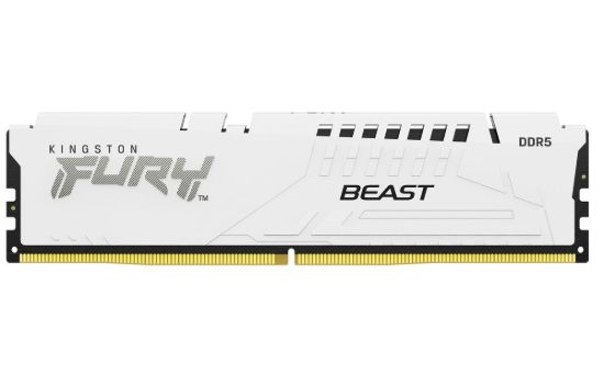 Obrázek KINGSTON DIMM DDR5 16GB 6000MT/s CL30 ECC FURY Beast EXPO Bílá