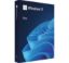 Obrázek Windows Pro 11 64- bit Czech USB