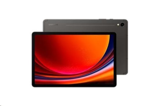 Obrázek Samsung Galaxy Tab S9 (X710), 11", 12/256 GB, WiFi, šedá - CZ distribuce