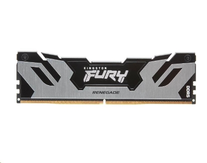 Obrázek KINGSTON DIMM DDR5 24GB 8000MT/s CL38 FURY Renegade Silver