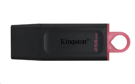 Obrázek Kingston Flash Disk 256GB USB3.2 Gen1 DataTraveler Exodia (Black + Pink)
