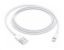 Obrázek APPLE Lightning na USB kabel (1 m)