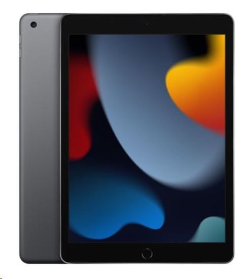 Obrázek APPLE iPad 10,2" (9. gen) (2021) Wi-Fi 64GB - Space Grey
