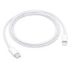 Obrázek APPLE USB- C na Lightning kabel (1 m)