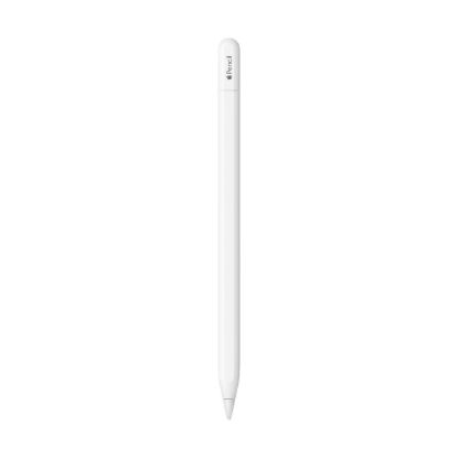 Obrázek APPLE Pencil, USB-C