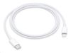 Obrázek APPLE USB- C na Lightning kabel (1m)