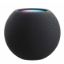 Obrázek APPLE HomePod Mini Space Gray