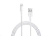 Obrázek APPLE USB kabel s konektorem Lightning (0, 5m)