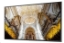 Obrázek SMART Signage LED QB85C 85" LH85QBCEBGCXEN