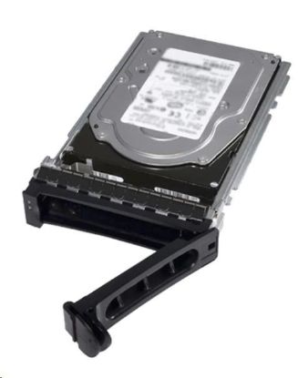 Obrázek DELL HDD 1TB Hard Drive SATA 6Gbps  7.2K 512n 3.5in Cabled Customer Kit - R250