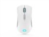Obrázek LENOVO Legion M600 Wireless Gaming Mouse (Stingray)