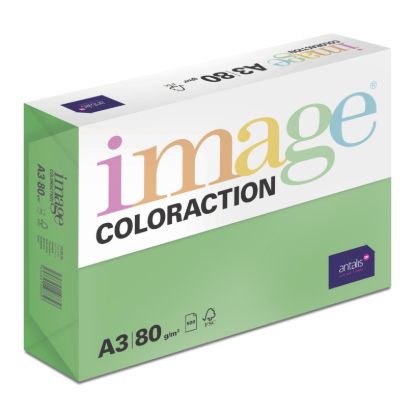 Obrázek Antalis Papír Image Coloraction Dublin - tmavě zelená (DG47) A3 (80g/500ks)