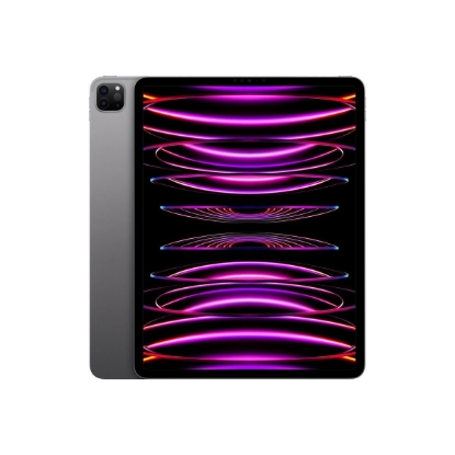 Obrázek APPLE iPad Pro 11" Wi-Fi 1TB - Space Black 2024