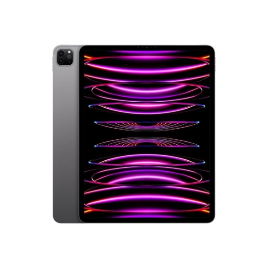 Obrázek APPLE iPad Pro 11" Wi-Fi + Cellular 2TB nanotextura - Space Black 2024