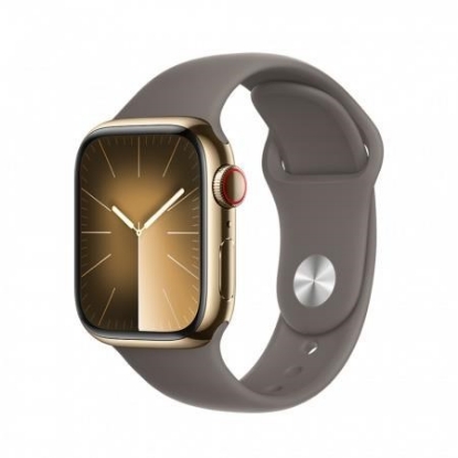 Obrázek APPLE Watch Series 9 GPS + Cellular 45mm Gold Stainless Steel Case with Clay Sport Band - M/L