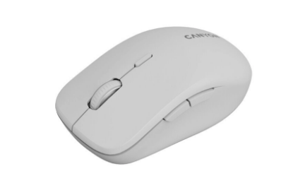 Obrázek CANYON mouse MW-12 Dual band Wireless Beige