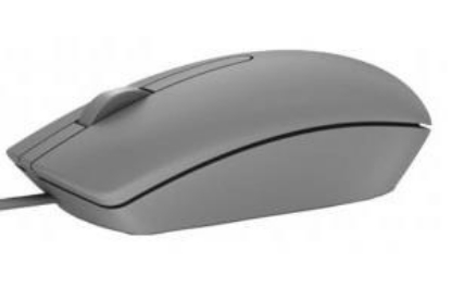 Obrázek DELL Optical Mouse - MS116 - Grey (-PL)