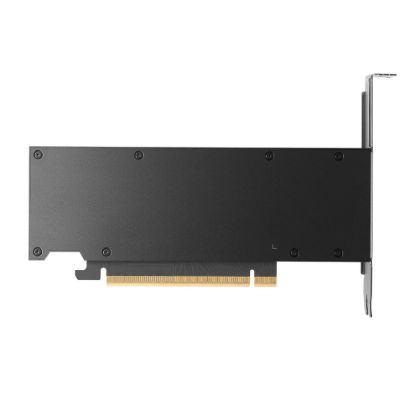 Obrázek GPU PNY NVIDIA RTX PRO 2000 Blackwell 16GB OEM Version