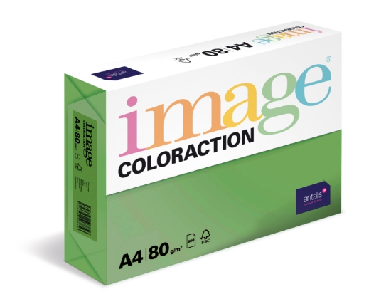 Obrázek Antalis Papír Image Coloraction Dublin - tmavě zelená (DG47) A4 (80g/100ks)