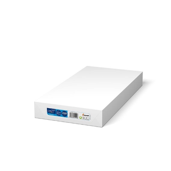 Obrázek Xerox Papír Colotech - ColorCopy 250ks  660 x 330 SG (200)