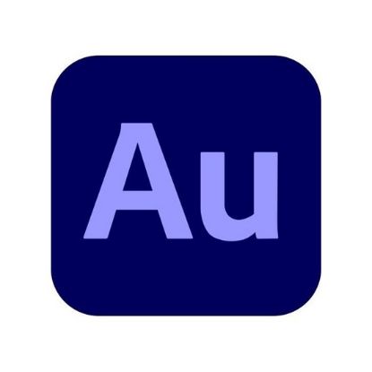 Obrázek Audition for teams, Multi Platform, Multi Language Government, 1 User, 12 Months, Level 1, 1 - 9 Lic