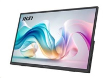 Obrázek MSI LCD PRO MP165 E6, 15.6", IPS, FHD, 60 Hz, 4 ms, Black