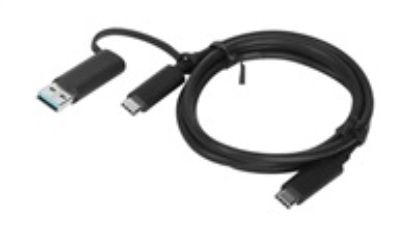 Obrázek LENOVO kabel USB- C to 2x USB- C Cable 1m