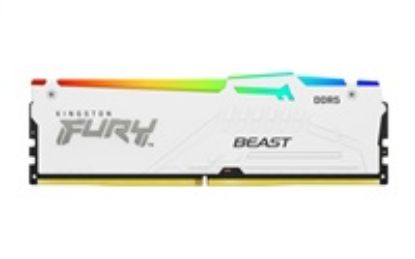 Obrázek KINGSTON DIMM DDR5 32 GB 6000MT/ s CL30 Non- ECC FURY Beast RGB EXPO, Bílá