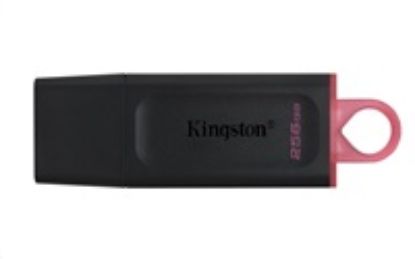 Obrázek Kingston Flash Disk 256 GB USB3.2 Gen1 DataTraveler Exodia (Black + Pink)