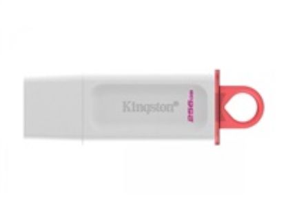 Obrázek Kingston Flash Disk 256 GB USB3.2 Gen1 DataTraveler Exodia (White + Pink)