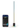 Obrázek Govee RGBICWW Floor Lamp 2 RGBICWW Matter + ovladač