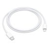 Obrázek APPLE USB- C na Lightning kabel (1 m)
