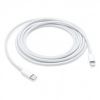 Obrázek APPLE USB- C na Lightning kabel (2 m)