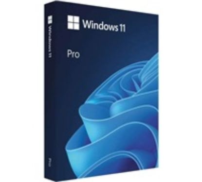 Obrázek Windows Pro 11 64- bit Czech USB