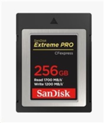 Obrázek SanDisk Compact Flash 256 GB Express Extreme Pro (R: 1700/ W: 1200 MB/ s)
