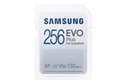 Obrázek Samsung SDXC karta 256 GB EVO PLUS