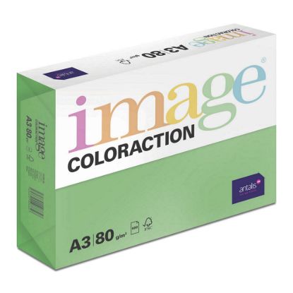 Obrázek Antalis Papír Image Coloraction Dublin - tmavě zelená (DG47) A3 (80g/ 500ks)