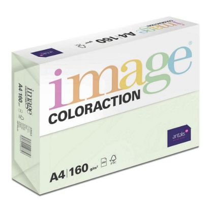 Obrázek Antalis Papír Image Coloraction Jungle - pastelově světle zelená (GN27) A4 (160g/ 250ks)