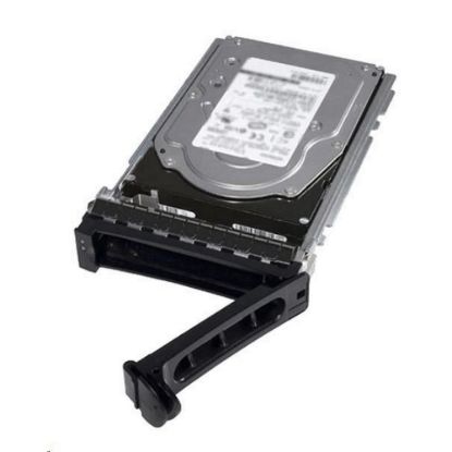 Obrázek DELL HDD 1 TB Hard Drive SATA 6Gbps 7.2K 512n 3.5in Cabled Customer Kit - R250
