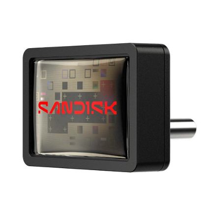 Obrázek SanDisk Flash Disk 256 GB Extreme Fit, USB- C, Černá